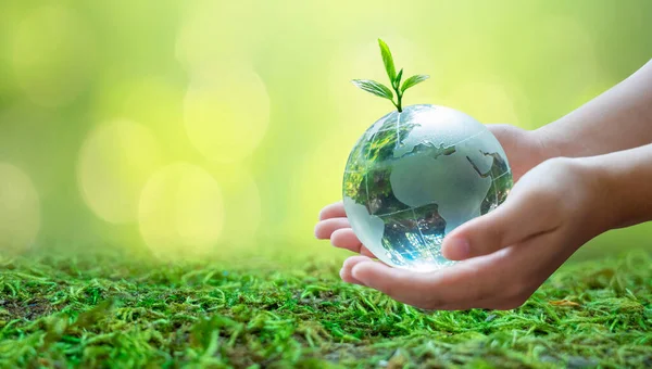 Yetişkinler dünyayı bebeklere gönderiyor. Dünya 'yı, çevreyi koru. Dünya yeşil bokeh arka planının çimlerinde.