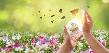 Kız kelebeği kavanozdan kurtarır, altın mavisi özgürlük kavramı