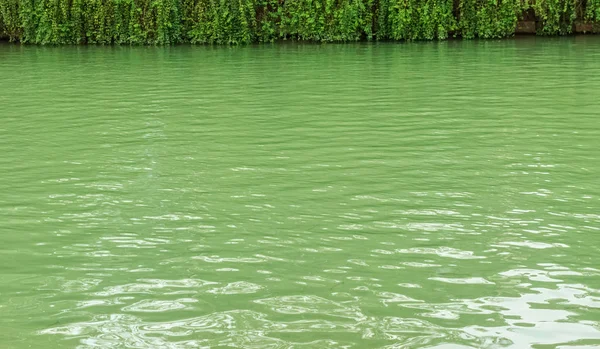 Ondas de água verde fundo — Fotografia de Stock
