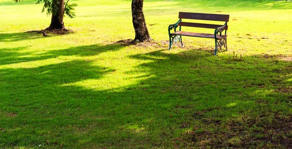 Ancien banc sur herbe verte — Photo