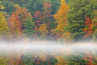 Hall Gölü kıyılarının sisli sonbahar manzarası sakin sularda yansıyan yansımalarla, Yankee Springs State Park, Michigan, Usa