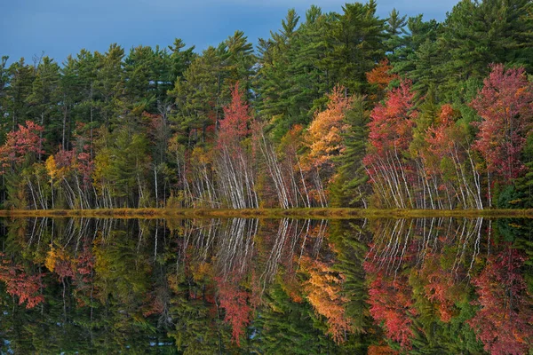 Hösten Landskap Stranden Big Twin Lake Med Speglade Reflektioner Lugnt — Stockfoto