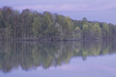İkiz Göller 'in kıyı şeridinin şafağında bahar manzarası sakin sularda yansıyan yansımalarla, Michigan, ABD