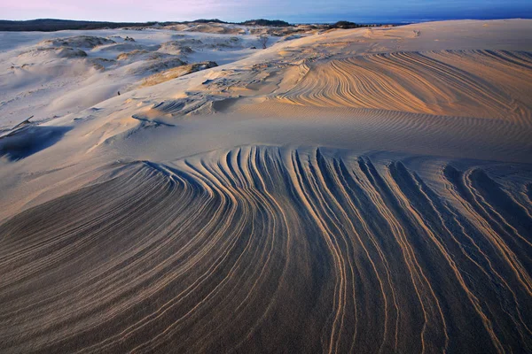 Winterlandschap Van Het Zilveren Meer Zandduinen Silver Lake State Park — Stockfoto