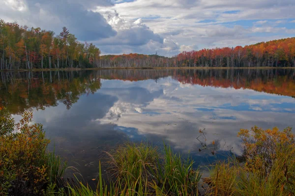 Herfst Landschap Van Scout Lake Met Spiegelende Reflecties Rustig Water — Stockfoto