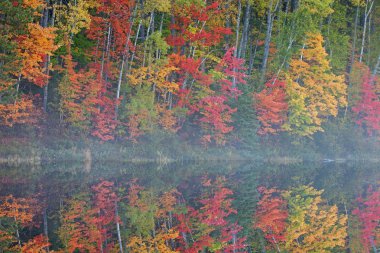 Autumn landscape of the shoreline of Moccasin Lake with mirrored reflections in calm water, Hiawatha National Forest, Michigan's Upper Peninsula, USA clipart