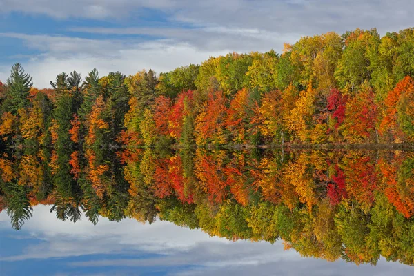 Jesienny Krajobraz Wybrzeża Jeziora Moccasin Odbiciami Odbitymi Spokojnej Wodzie Las — Zdjęcie stockowe
