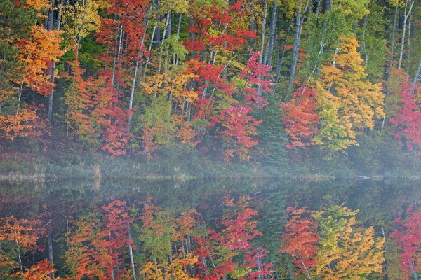 Autumn Landscape Shoreline Moccasin Lake Mirrored Reflections Calm Water Hiawatha — Stock Photo, Image