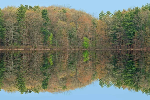 Voorjaar Landschap Van Kustlijn Van Hall Lake Met Spiegelende Reflecties — Stockfoto