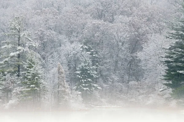 Осінній Пейзаж Тумані Снігового Узбережжя Голл Лейк Штат Янкі Спрінгс — стокове фото
