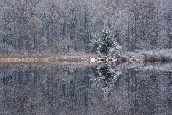 穏やかな水の中に鏡のような反射と雪で囲まれた深い湖の海岸線の秋の風景 ヤンキースプリングス州立公園 ミシガン州 アメリカ — ストック写真