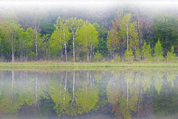 Tavaszi Táj Partvonal Deep Lake Ködben Tükrözött Gondolatok Nyugodt Vízben — Stock Fotó