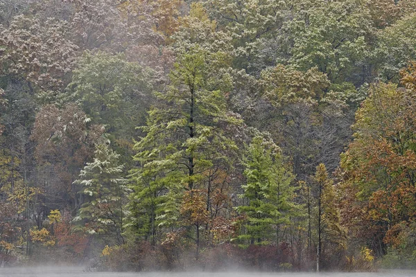 Neblige Herbstlandschaft Ufer Des Hallenser Sees Mit Schnee Yankee Springs — Stockfoto