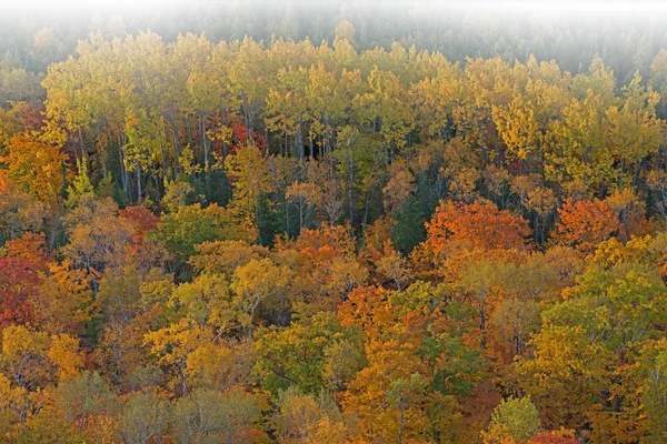 Осенний Лес Тумане Brockway Mountain Drive Верхний Полуостров Мичигана Сша — стоковое фото