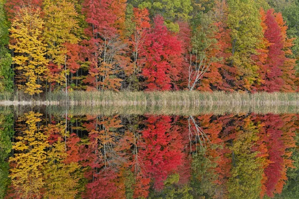 Autumn Landscape Shoreline West Gilkey Lake Mirrored Reflections Calm Water — Stock Photo, Image
