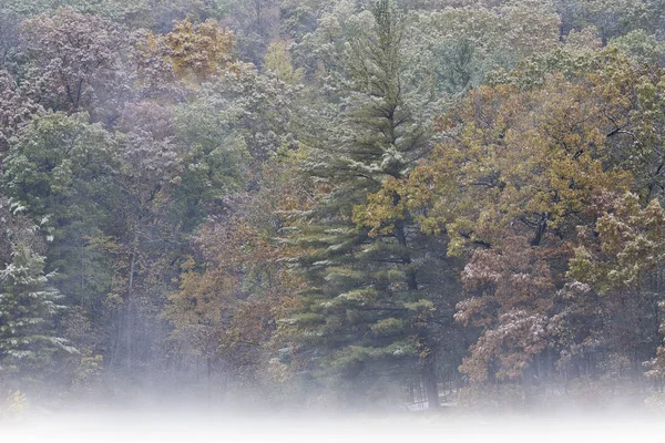Mlhavá Podzimní Krajina Pobřeží Hall Lake Hemžila Sněhem Yankee Springs — Stock fotografie