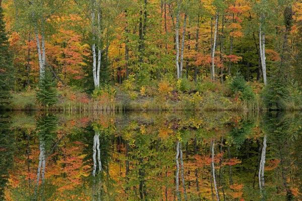 Herfst Landschap Van Kustlijn Van Alberta Lake Met Spiegelende Reflecties — Stockfoto