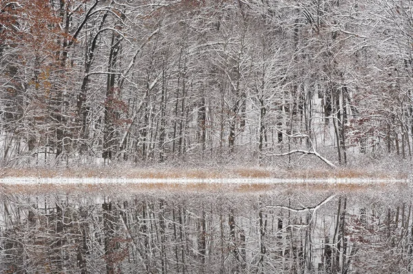 Paysage Hivernal Littoral Enneigé Lac Warner Avec Des Reflets Miroirs — Photo