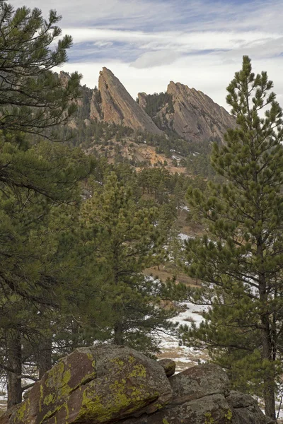 Paisagem Inverno Dos Flatirons Emoldurados Por Coníferas Montanhas Rochosas Boulder — Fotografia de Stock