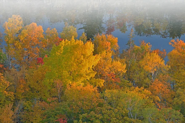 Autumn Forest Fog Pond Reflections Trees Calm Water Brockway Mountain — 스톡 사진