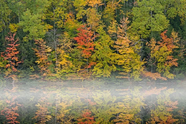 Foggy Höst Landskap Stranden Thornton Lake Med Speglade Reflektioner Lugnt — Stockfoto