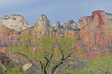 Bahar, gün doğumunda Bakire Kuleleri 'nin manzarası, Zion Ulusal Parkı, Utah, Usa
