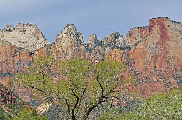 Primavera Paisagem Das Torres Virgem Nascer Sol Parque Nacional Zion — Fotografia de Stock