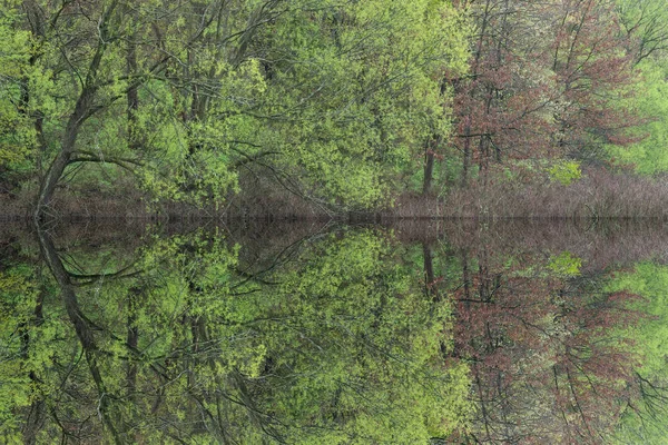 Frühlingslandschaft Ufer Des Krummen Sees Mit Spiegelungen Ruhigem Wasser Barry — Stockfoto