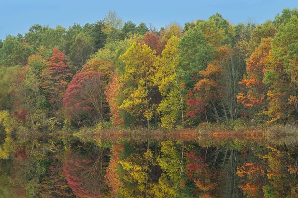 Podzimní Krajina Pobřeží Crooked Lake Zrcadlovými Odrazy Klidné Vodě Barry Royalty Free Stock Fotografie