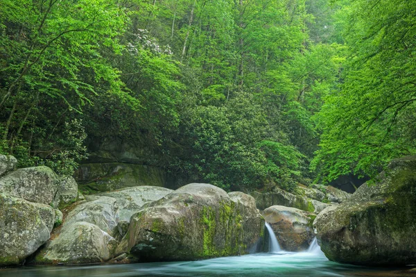 Letni Krajobraz Kaskady Big Creek Przechwycone Ruchu Rozmycia Great Smoky — Zdjęcie stockowe