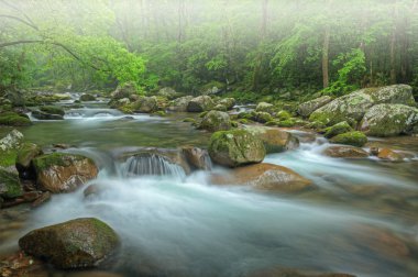 Big Creek 'teki sisli yaz manzarası hareket bulanıklığı, Great Smoky Dağları Ulusal Parkı, Tennessee, Usa