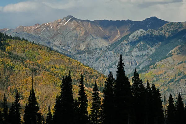 Autumn landscape, San Juan Mountains with conifers and aspens, Colorado, USA
