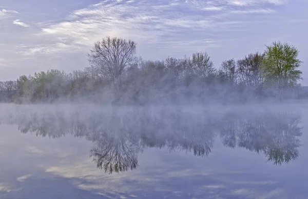 Frühlingslandschaft Bei Sonnenaufgang Des Jackson Hole Lake Nebel Mit Spiegelungen — Stockfoto