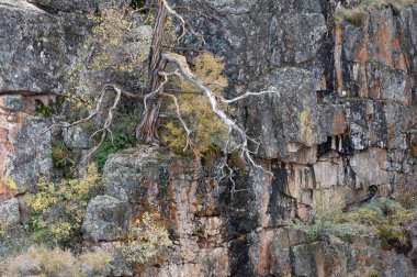 Uçurumun manzarası, Gunnison Ulusal Parkı Kara Kanyonu, Colorado, Usa