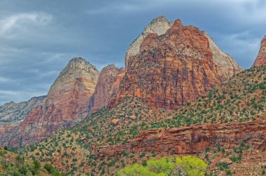 Dağların ve kayalıkların Rocky bahar manzarası, Zion Ulusal Parkı, Utah, Usa