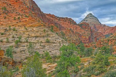 Dağların ve kayalıkların Rocky bahar manzarası, Zion Ulusal Parkı, Utah, Usa