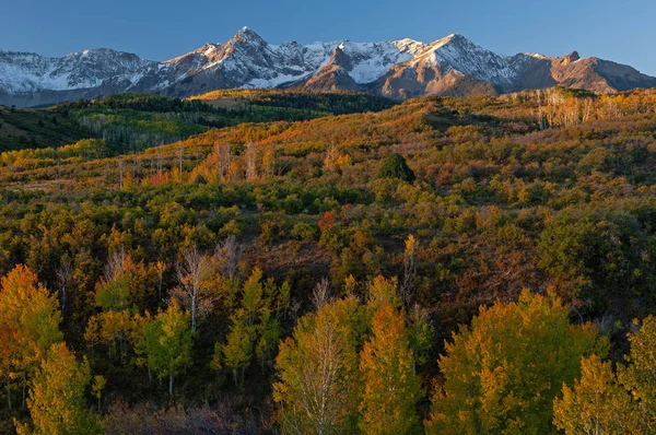 Paisagem Outono Com Aspens Dallas Divide San Juan Mountains Colorado — Fotografia de Stock