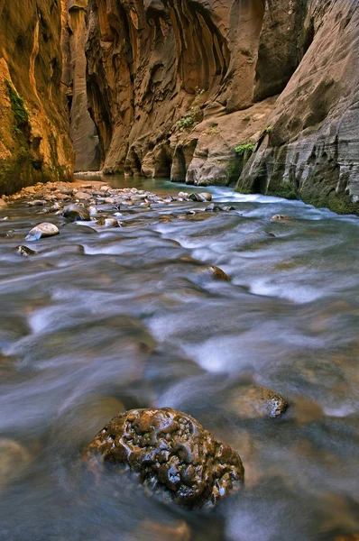 Krajobraz Rzeki Dziewicy Wąski Uchwycony Rozmyciem Ruchu Park Narodowy Syjon — Zdjęcie stockowe