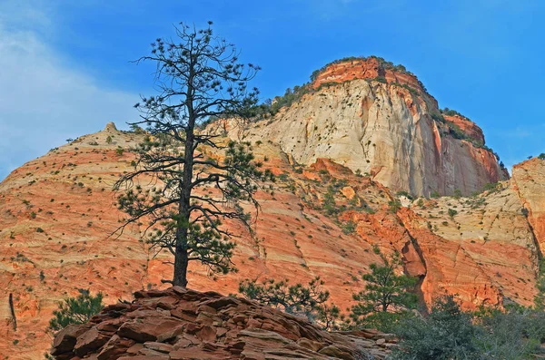 Skalisty Wiosenny Krajobraz Gór Klifów Park Narodowy Syjon Utah Usa — Zdjęcie stockowe