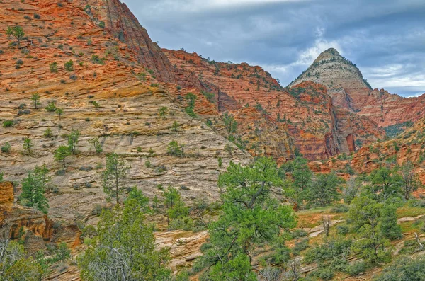 Skalisty Wiosenny Krajobraz Gór Klifów Park Narodowy Syjon Utah Usa — Zdjęcie stockowe