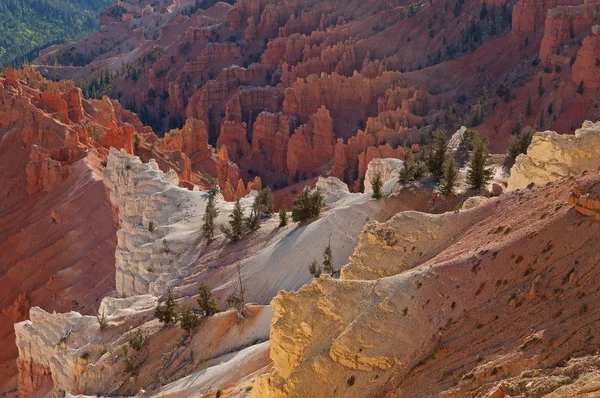 Krajina Chuligánů Cedar Breaks National Monument Utah — Stock fotografie