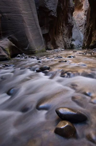 Landscape Virgin River Narrows Captured Motion Blur Zion National Park — Stock Photo, Image