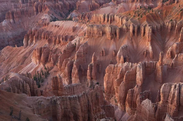 Krajina Při Západu Slunce Hoodoo Cedar Breaks National Monument Utah — Stock fotografie