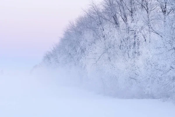 霧氷は 夜明け ミシガン州 アメリカ合衆国で極寒の冬の朝に裸の木の森を包む — Stock fotografie