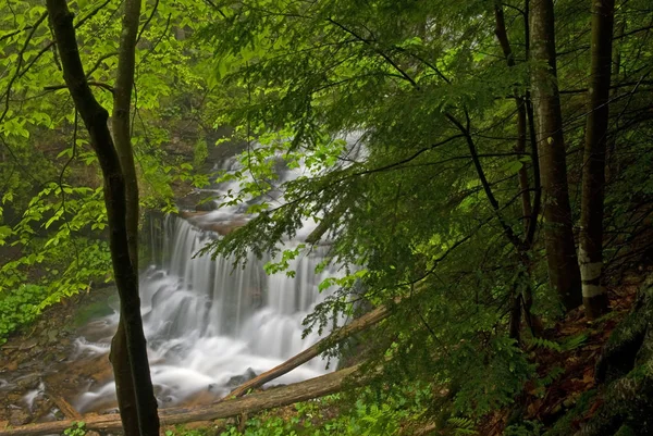 Wiosenny Krajobraz Górnych Wagner Falls Uchwycony Rozmyciem Ruchu Otoczony Drzewami — Zdjęcie stockowe