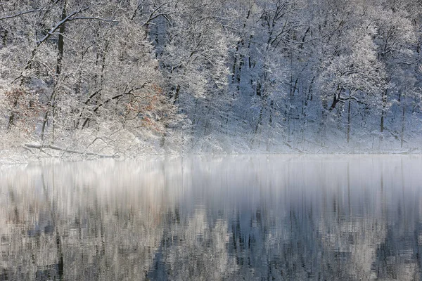 Snow Flocked Trees Foggy Shoreline Hall Lake Mirrored Reflections Calm — Stock Photo, Image