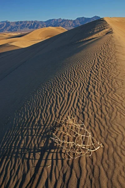 Paisagem Das Dunas Planas Areia Mesquite Parque Nacional Vale Morte — Fotografia de Stock