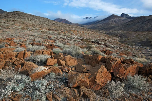 Krajina Pohoří Amargosa Národní Park Death Valley Kalifornie Usa — Stock fotografie