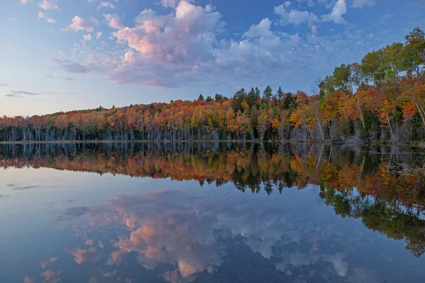 Paisaje Otoñal Del Lago Scout Con Reflejos Espejados Aguas Tranquilas —  Fotos de Stock