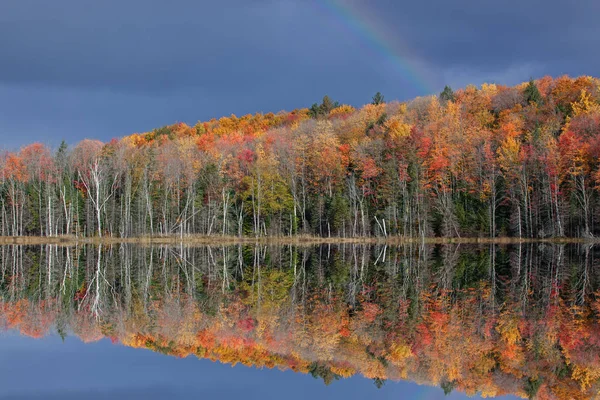 美国密歇根州上半岛Hiawatha国家森林 童军湖的秋季风景 平静的水面和彩虹映照出了自己的倒影 — 图库照片